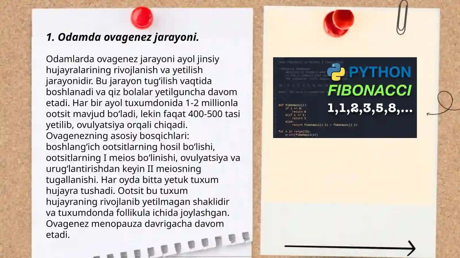 Ovaganez va spermatozoyitning xususiyatlari 3