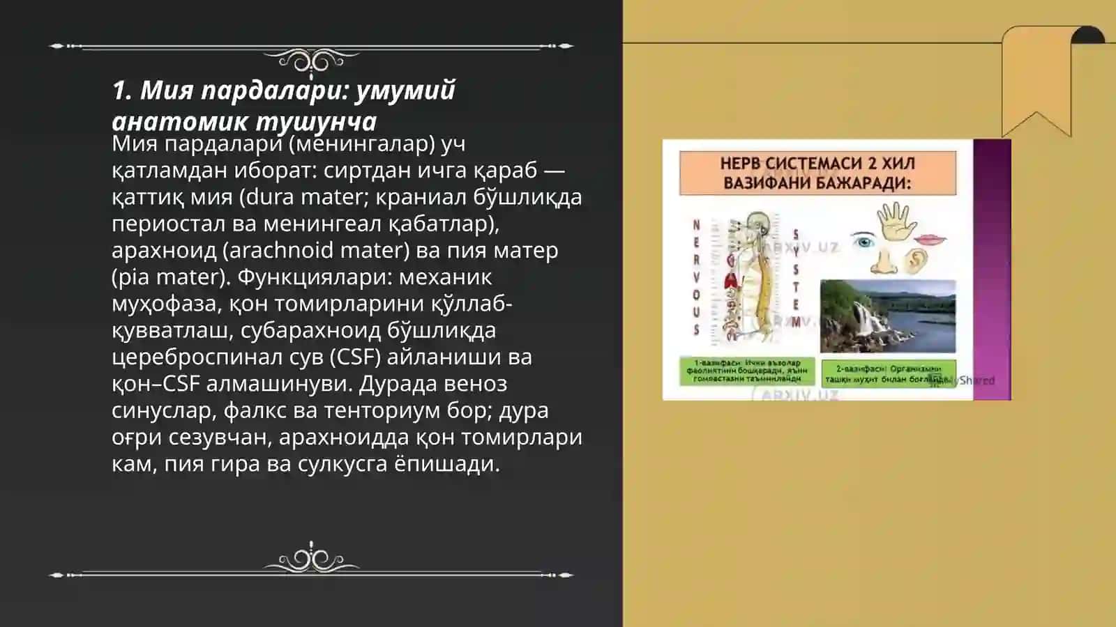 Мия пардалари 3