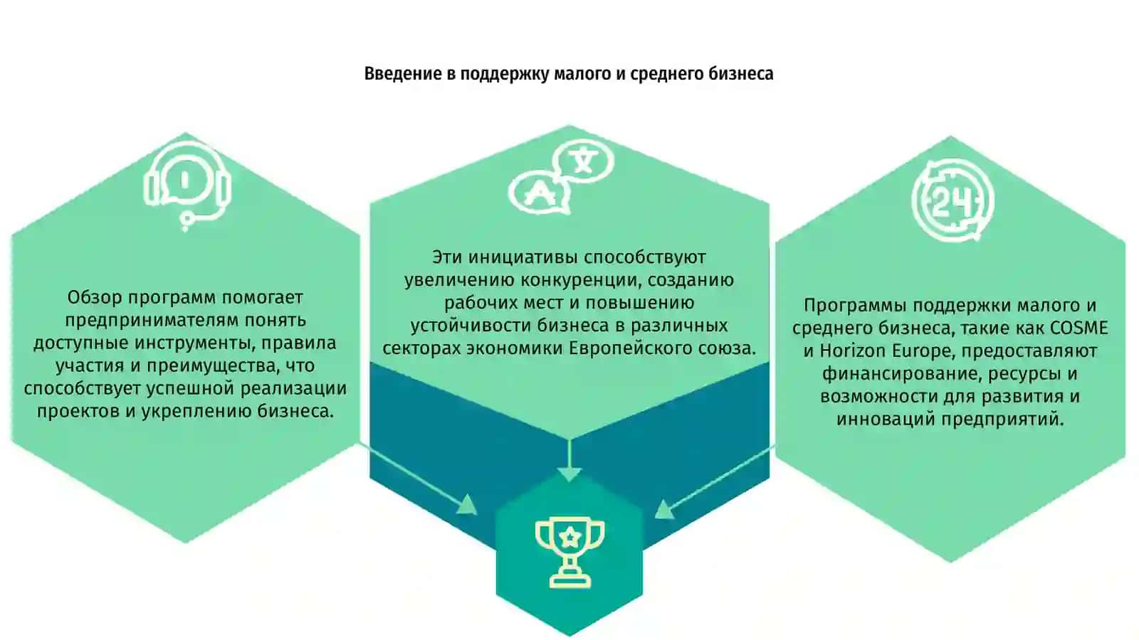 Обзор программ поддержки малого и среднего бизнеса (COSME, Horizon Europe) 3