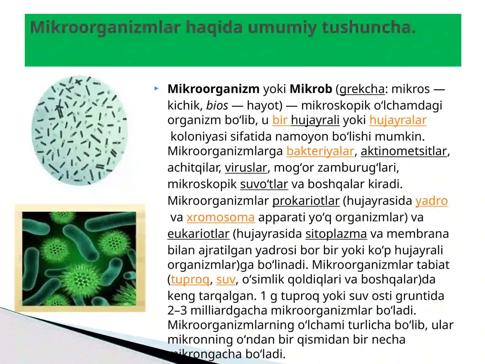 Mikroorganizmlarning  amaliy ahamiyati 3