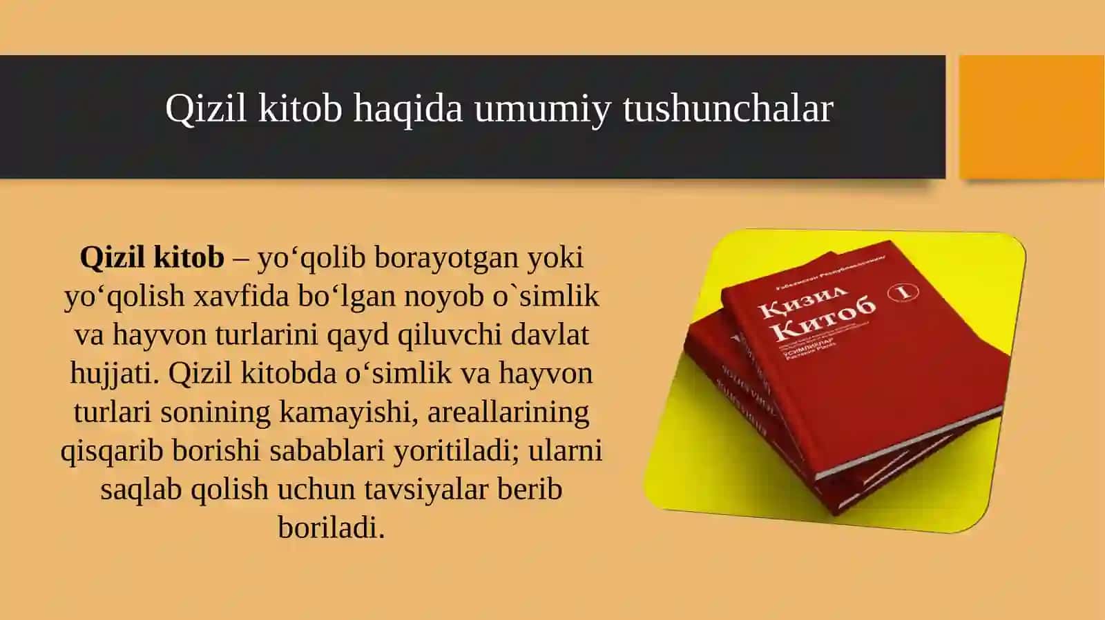 Qizilkitob 3