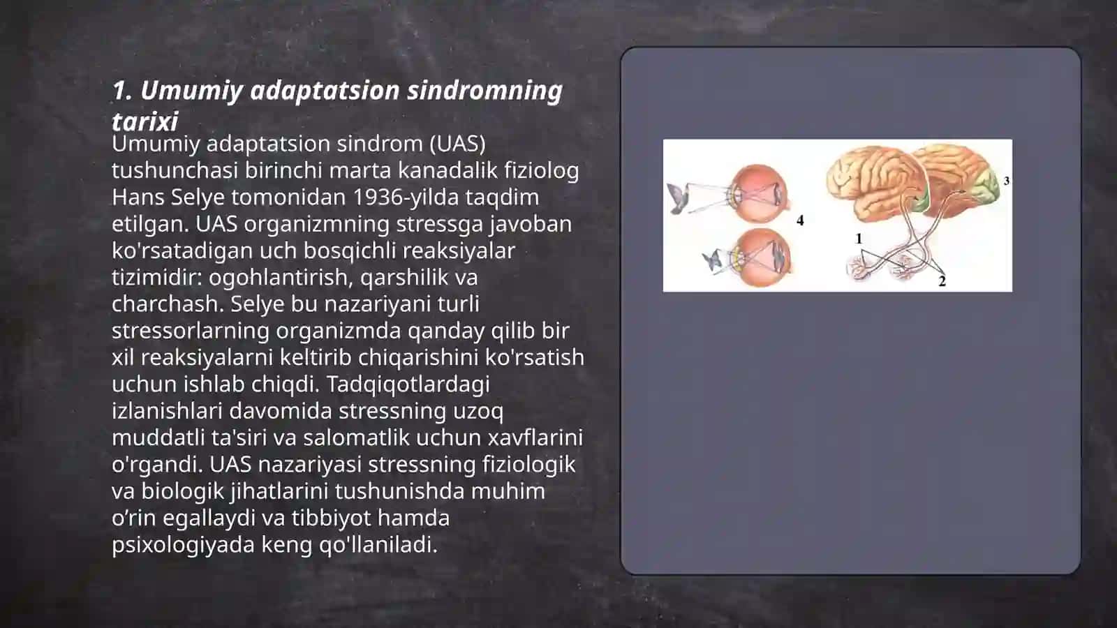 Umumiy adaptatsion sindrom 3