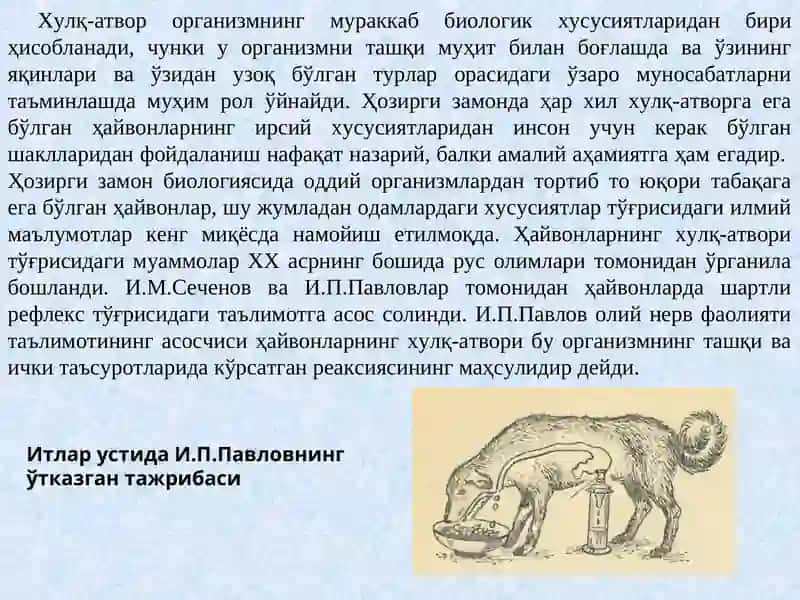 Феъл-Атвор генетикаси 3