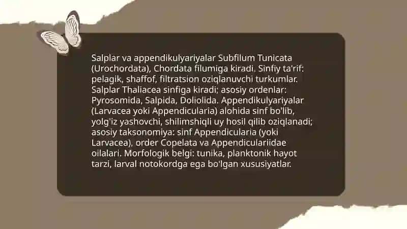 Salplar va appendikulyariyalar sinfi 3