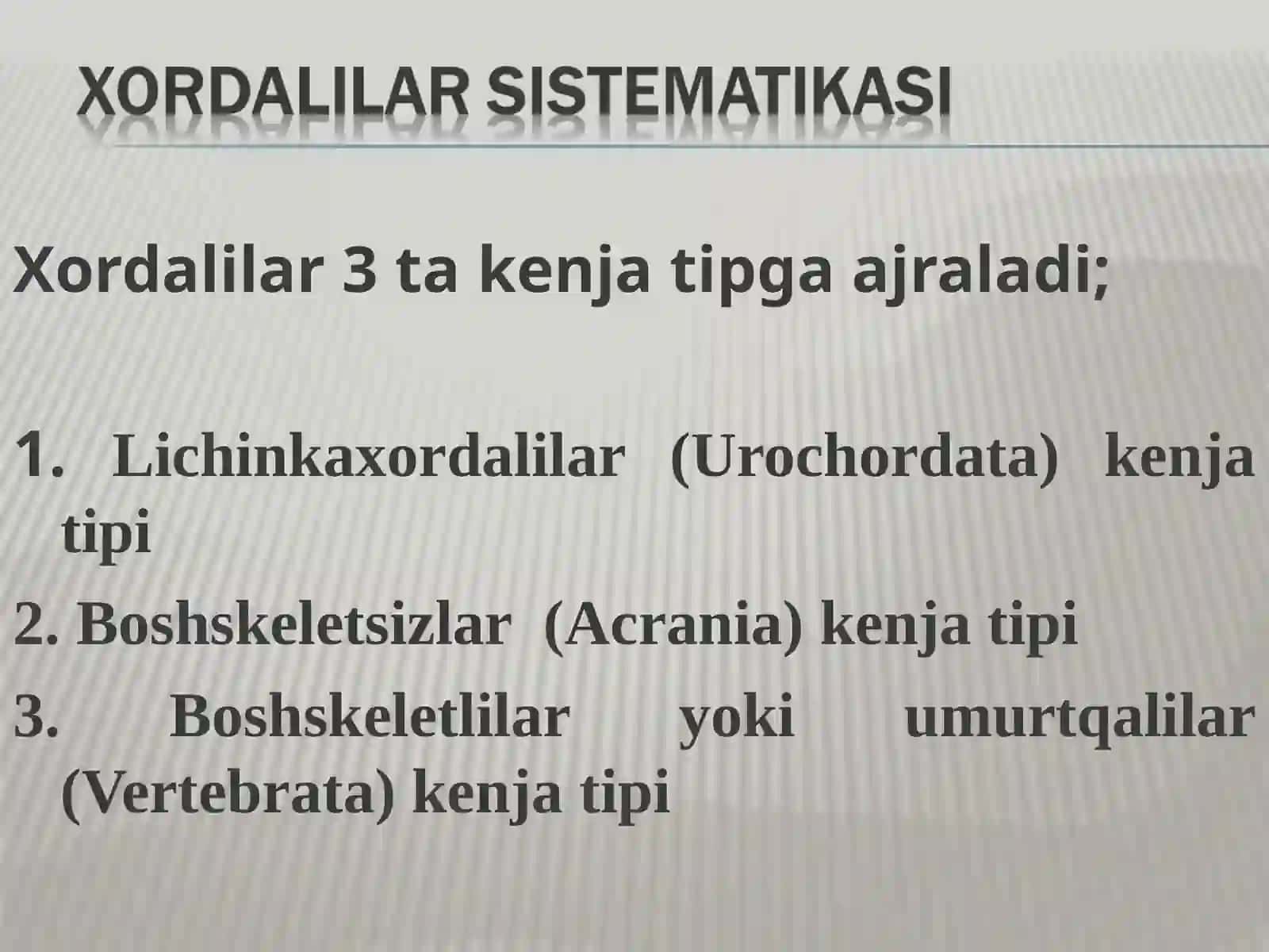 Xordalilar (Хордалилар) 3