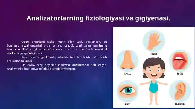 Ko‘rish va eshitish analizatorlari 3