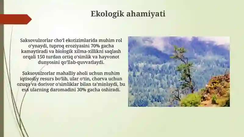 Markaziy Osiyoning saksavulzorlari 3