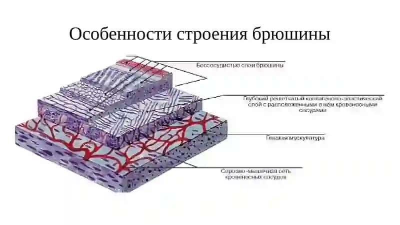 Перитонеальный диализ. Гемодиализ 3