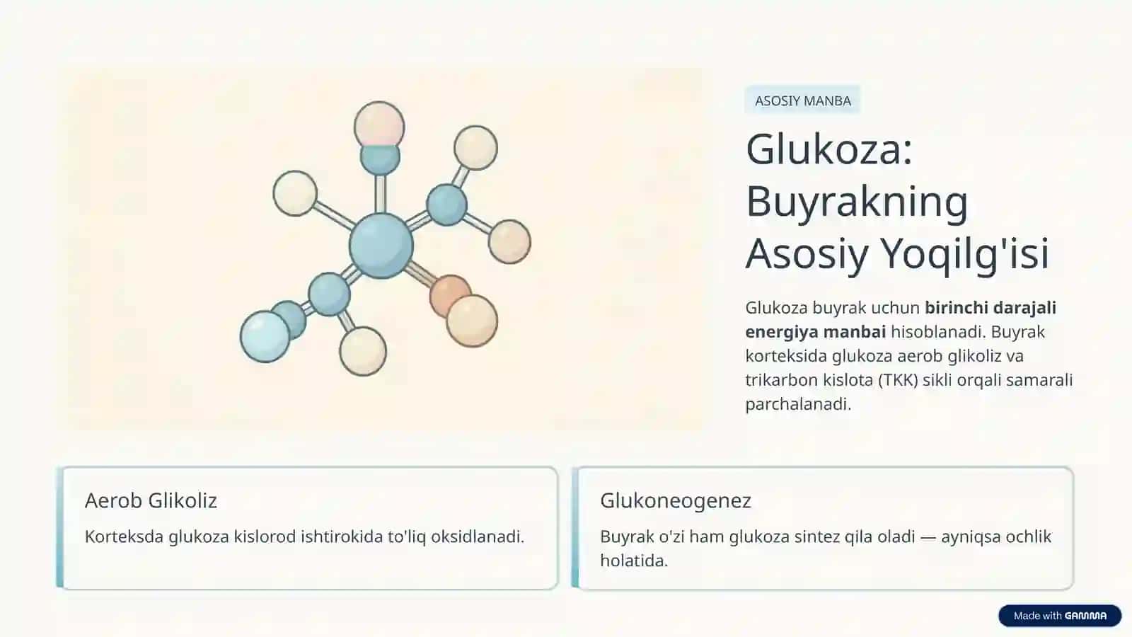 Buyrakni Energiya Bilan Ta'minlash 3