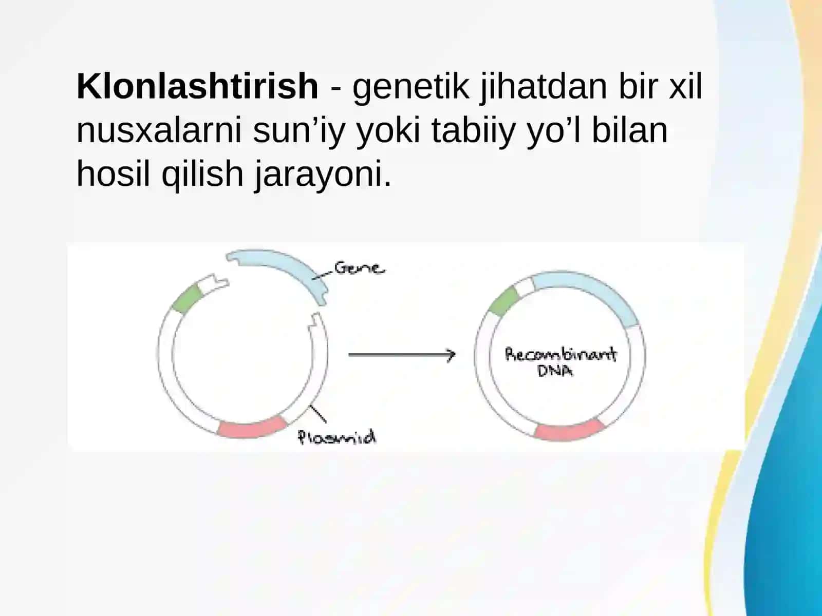 Klonlar, klonlashtirish vaularning klinikahamiyati 3