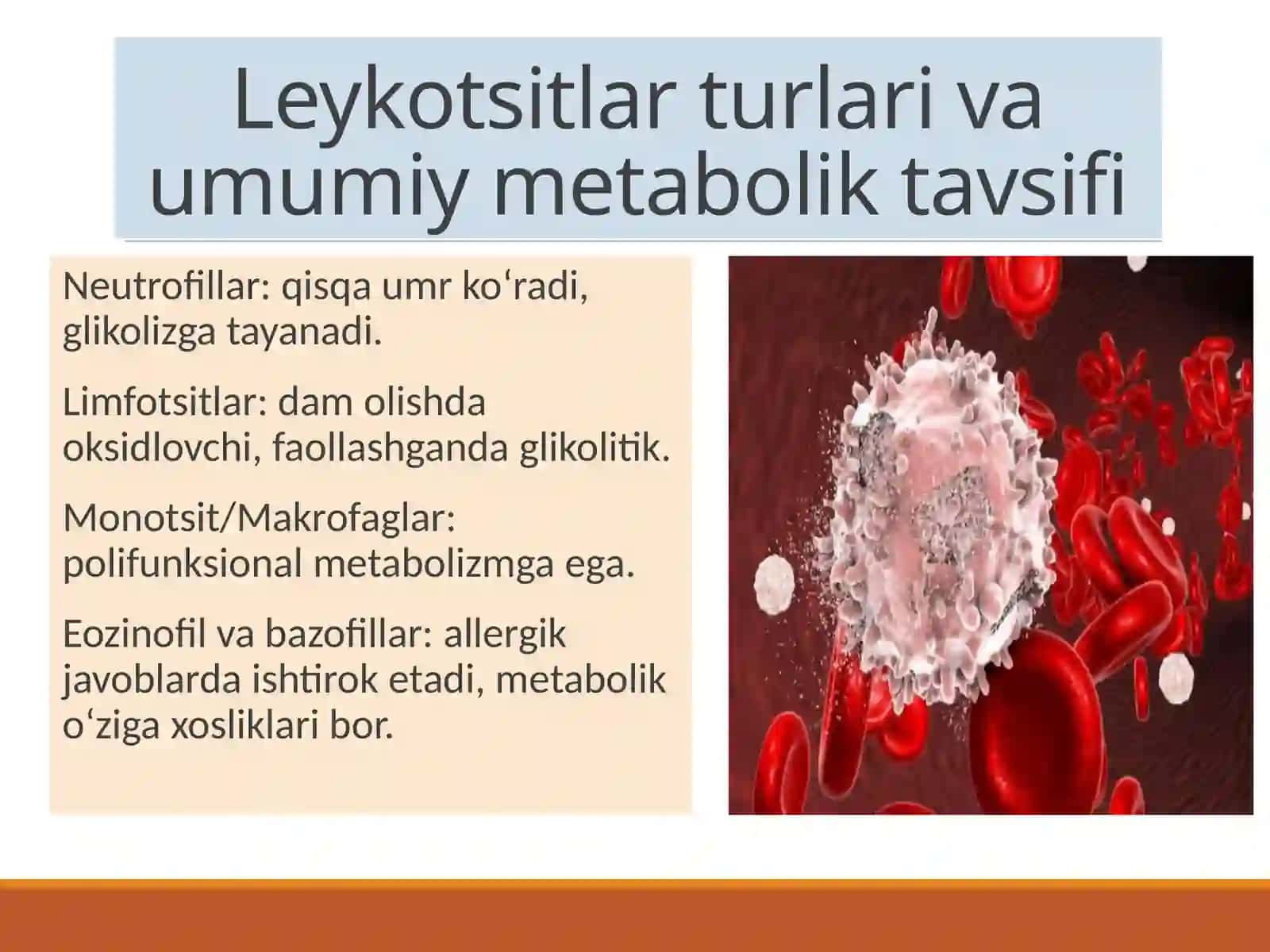 Leykotsitlar metabolizm ixususiyatlari 3