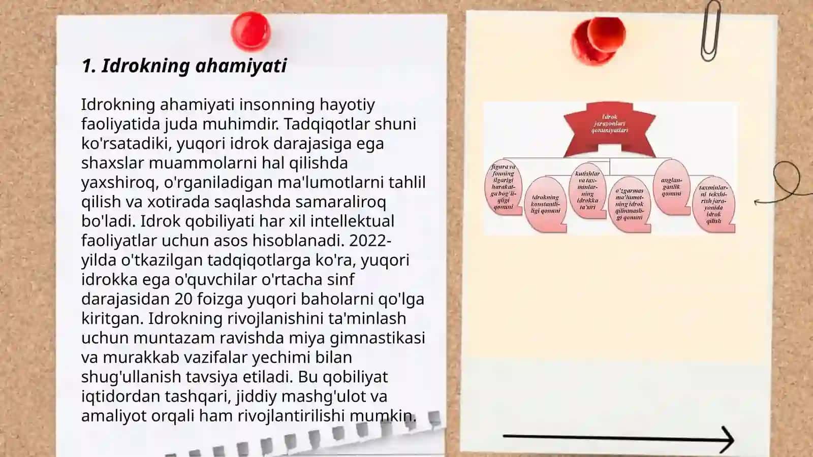 Idrok haqida tushuncha 3