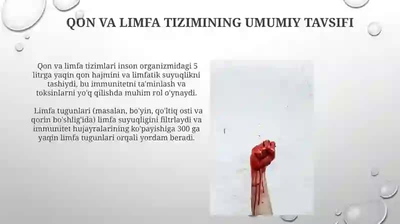 Qon va limfa 3