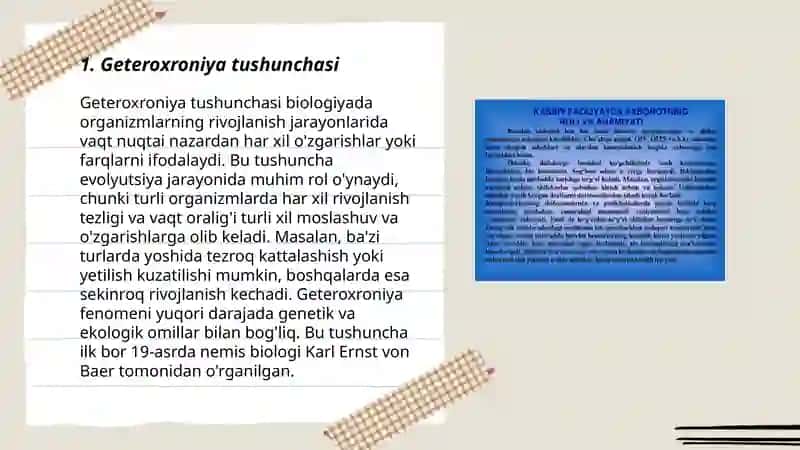 O‘sish va rivojlanish Geteroxroniyasi 3