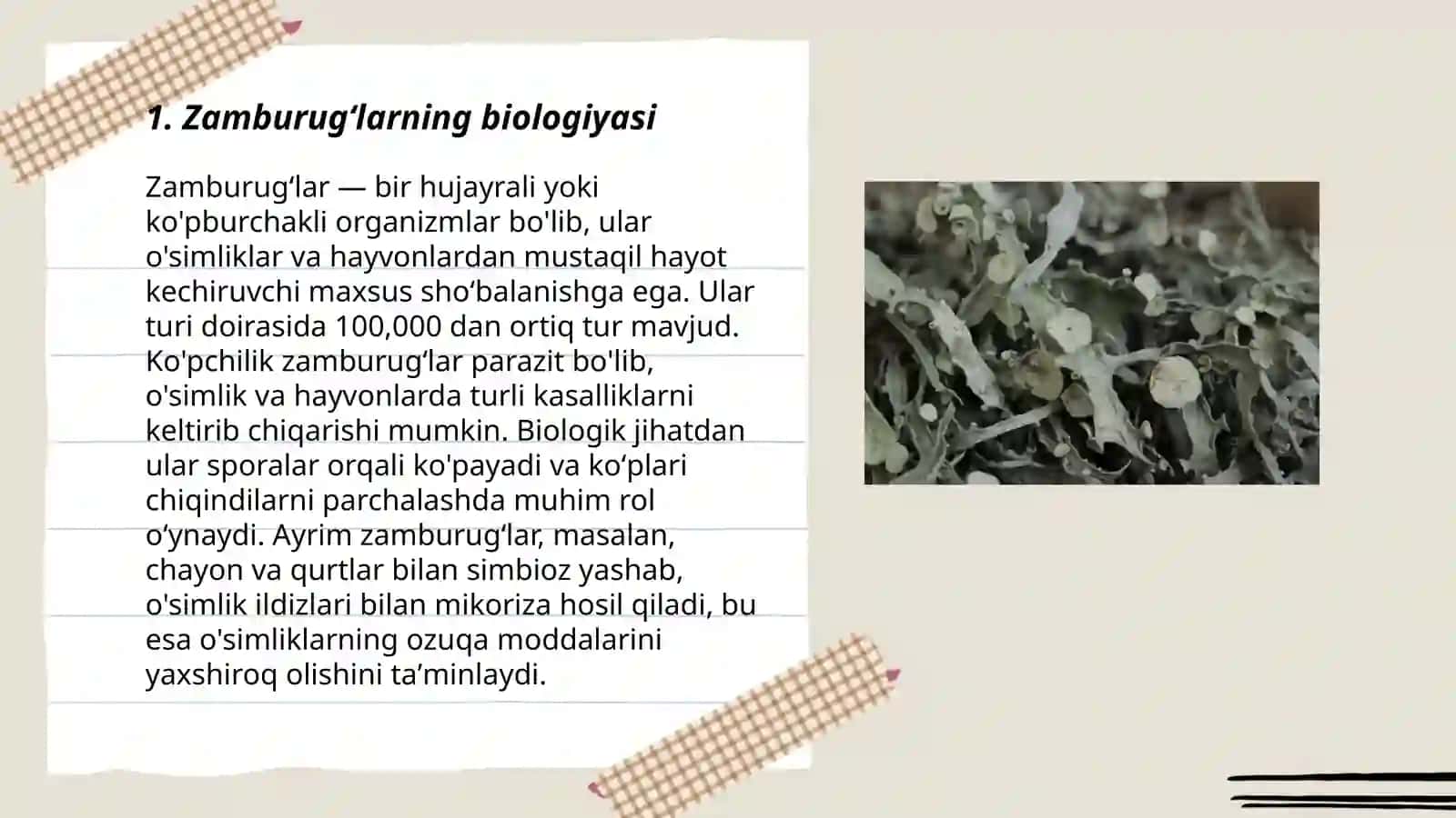 Zamburugʻlar va lishayniklar 3