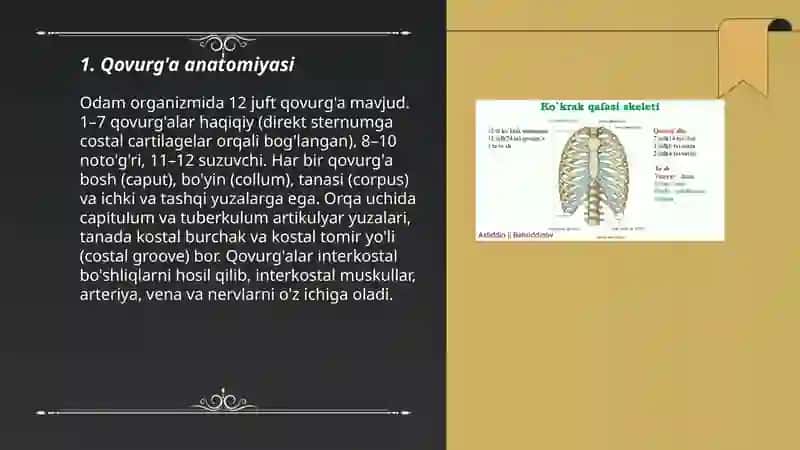 Qovurg'a anatomiyasi 3