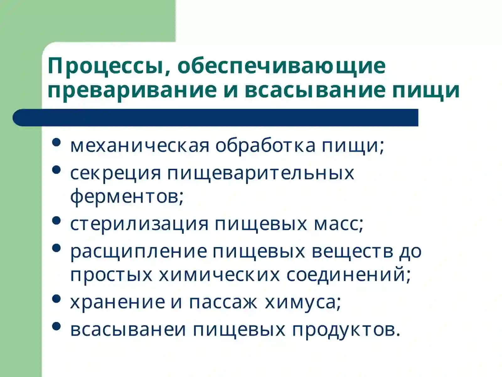 Патофизиология системы пищеварения 3