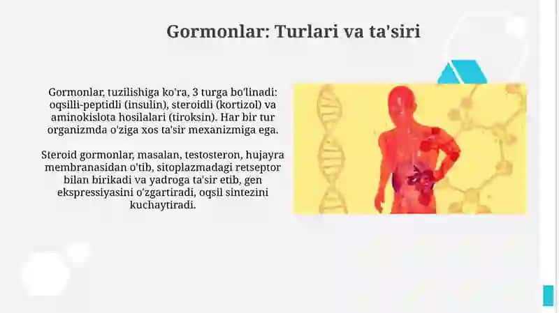 Endokrin bezlar: Umumiy ko'rinish va vazifalari 3