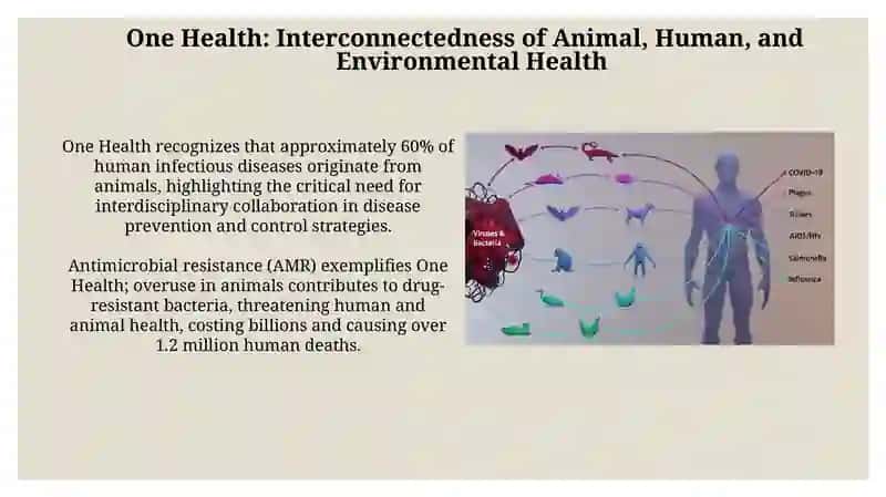 Problems of veterinary sanitation, hygiene and ecology 3