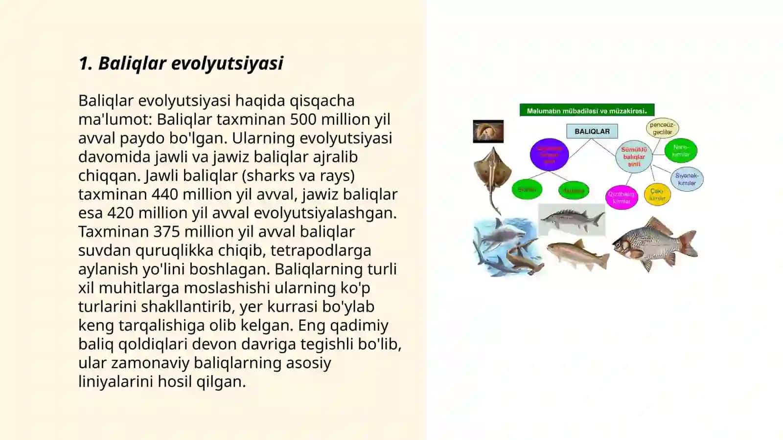 Baliqlar evolyutsiyasi 3