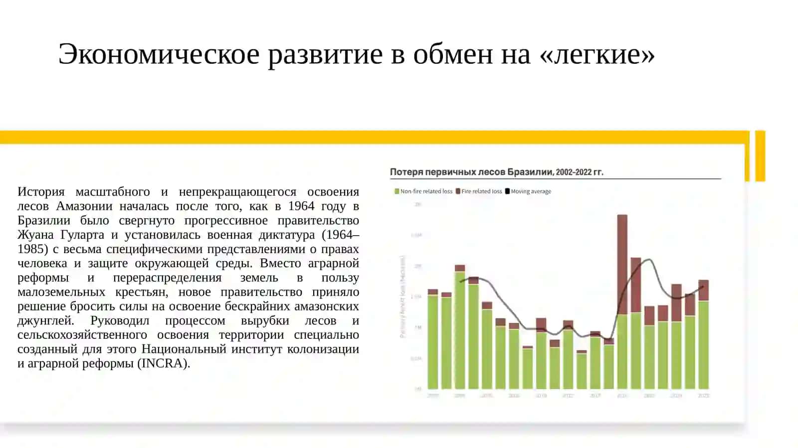 Проблема вырубки лесов в Амазонии 3