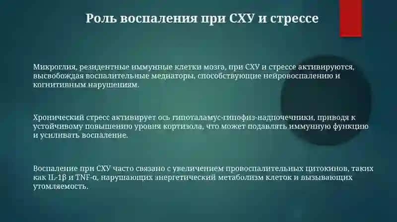 Стресс-причинавсехболезней.Синдромхроническойусталости 3