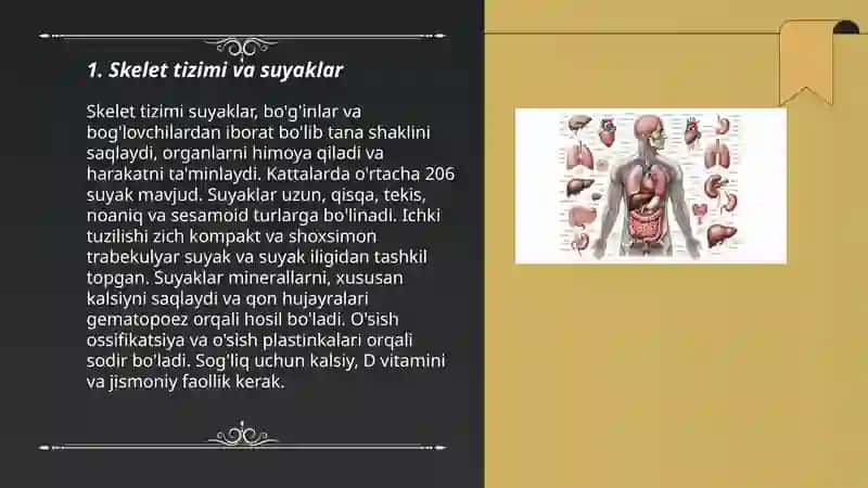 Skelet tizimi va suyaklar 3