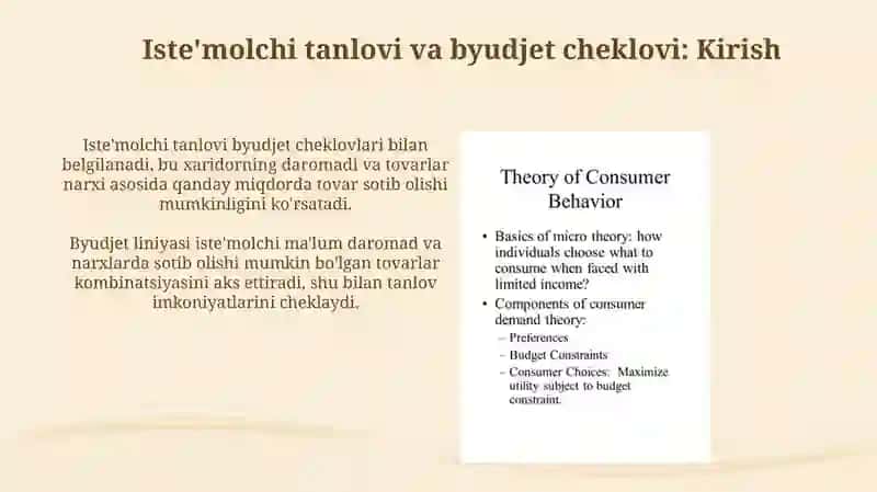 Iste'molchi tanlovi va byidjet cheklanganligi 3