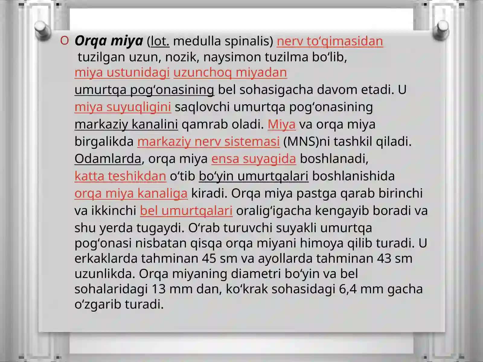 ORQA MIYA NERVLARINING HOSIL BO’LISHI 3
