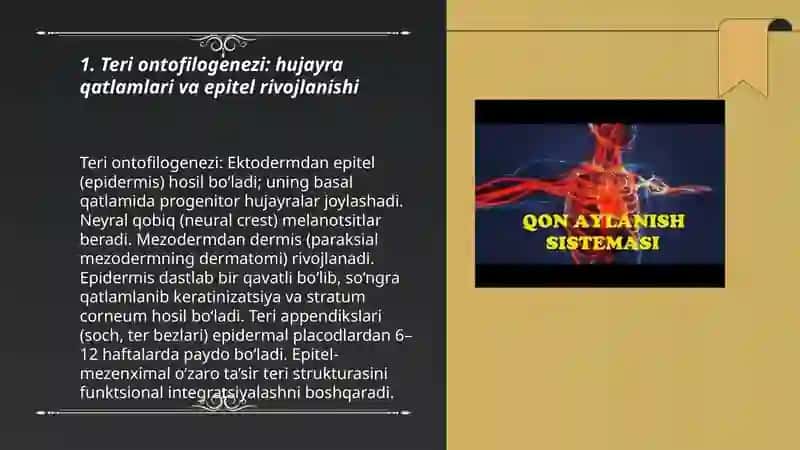 A’zolar sistemasi ontofilogenezi 3