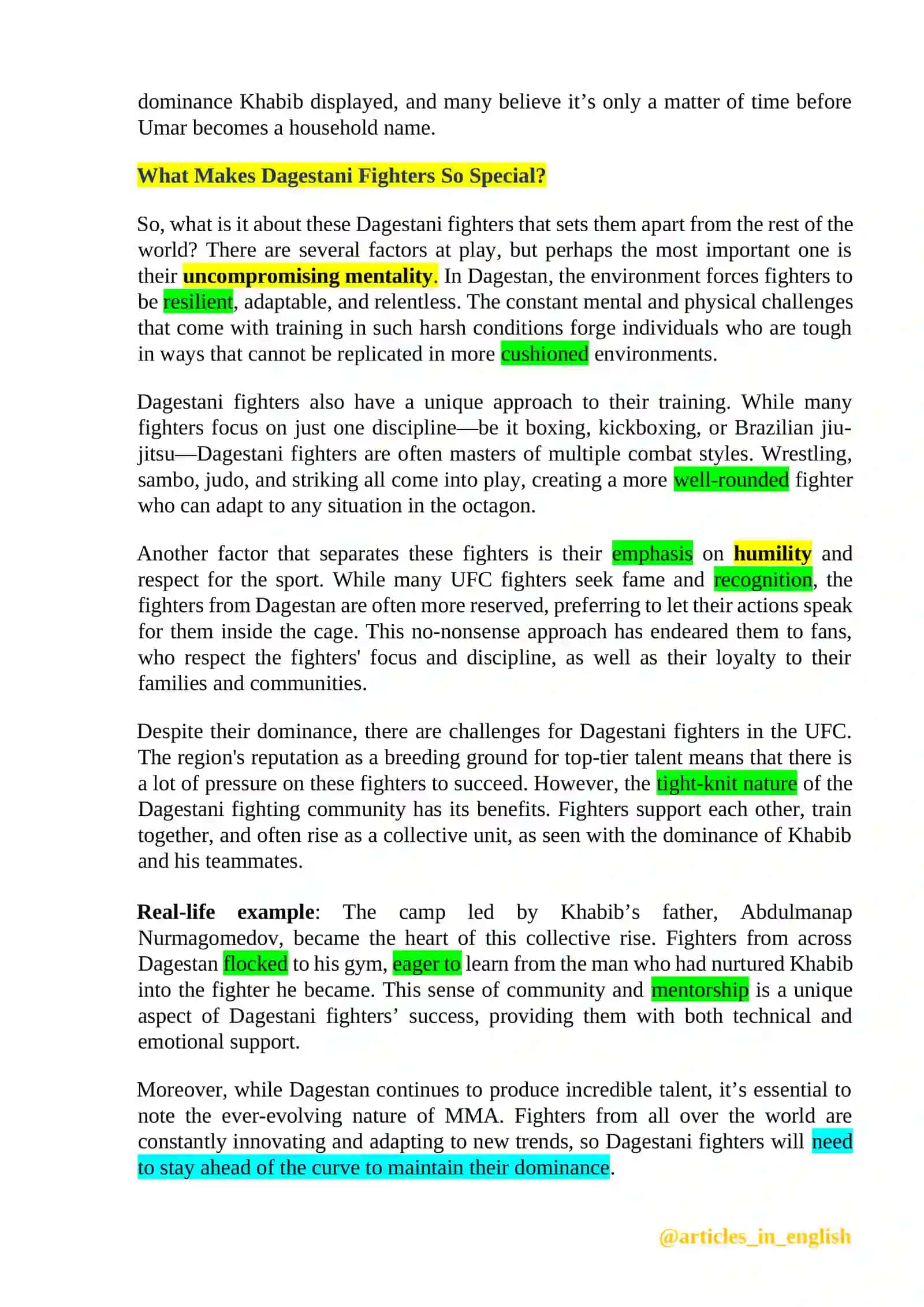 Dagestani Fighters: Conquering the UFC with Relentless Determination 3