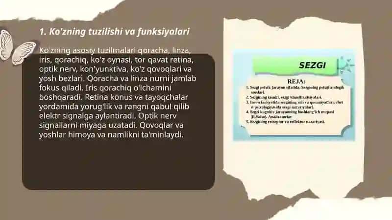 Sezgi aʼzolari 3