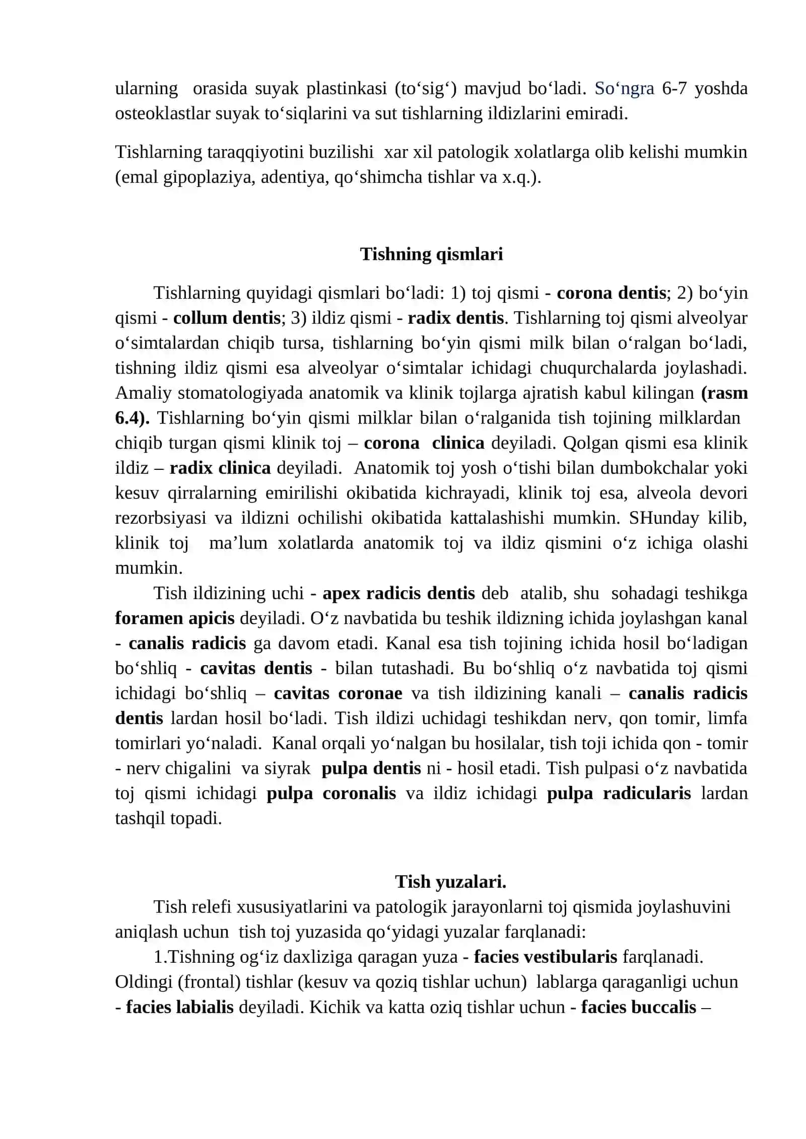 Tishlarning umumiy anatomiyasi 3