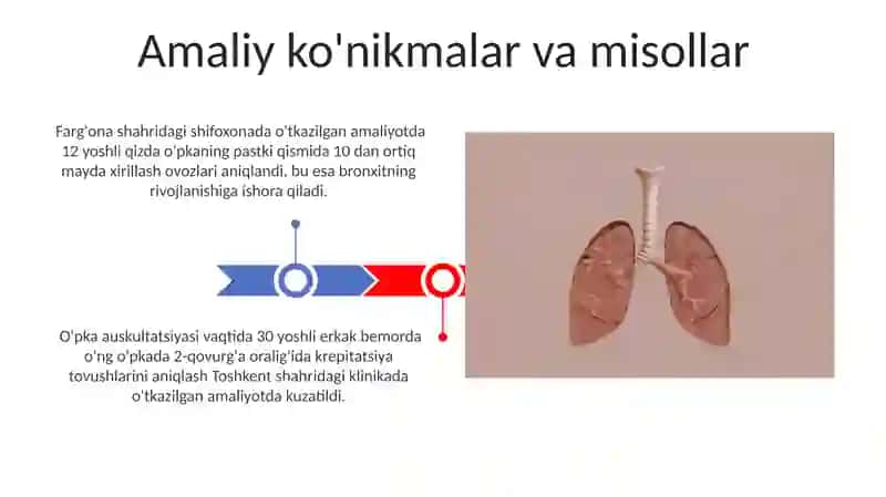 O'pka Auskultatsiyasi 3