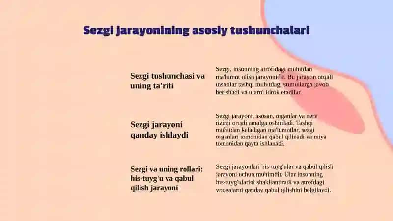 Sezgi va idrok jarayonlarini rivojlanishi 3