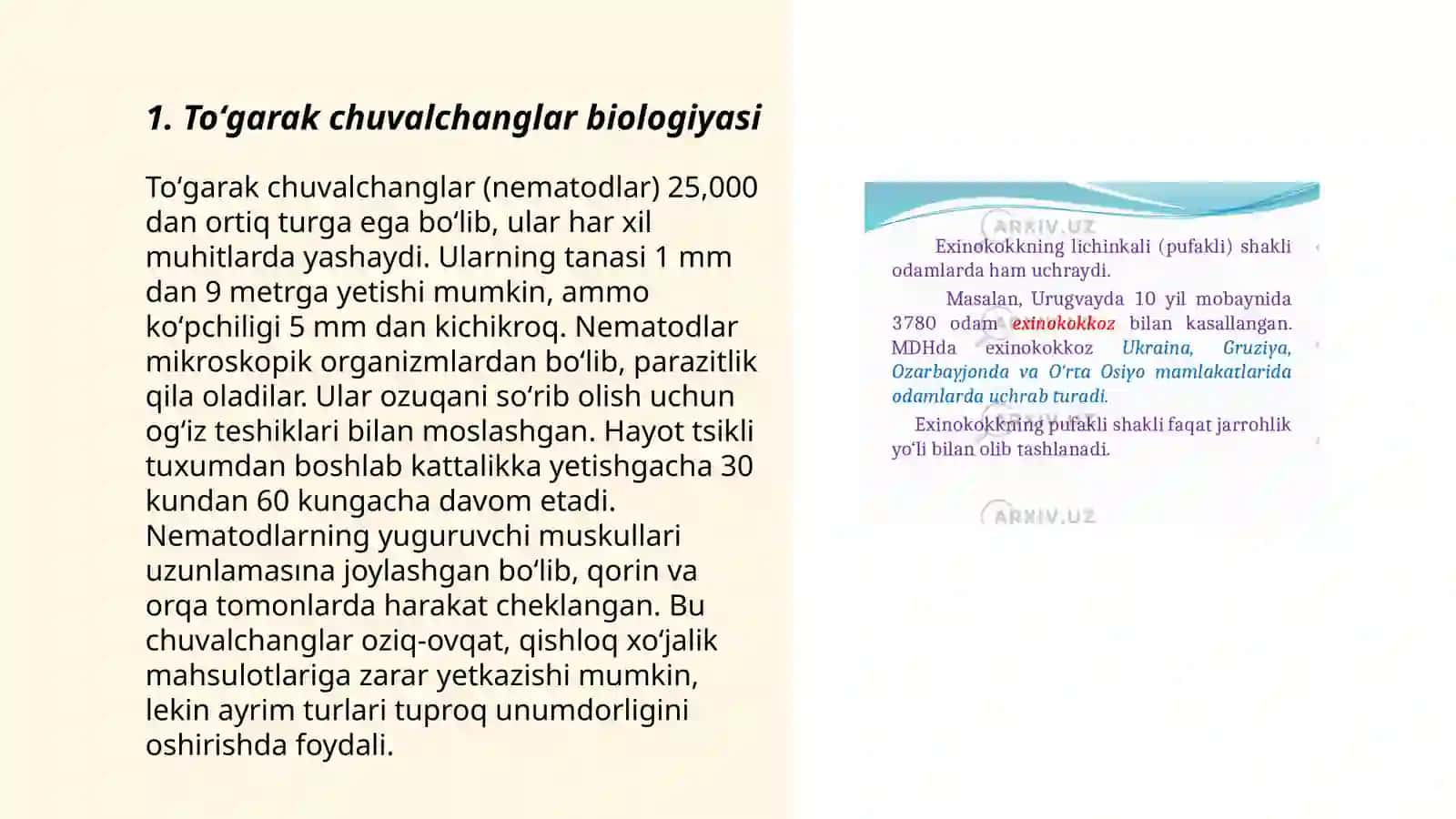 Toʻgarak chuvalchanglar biologiyasi 3