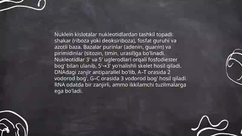 Nuklen kislotalarni strukturasi 3