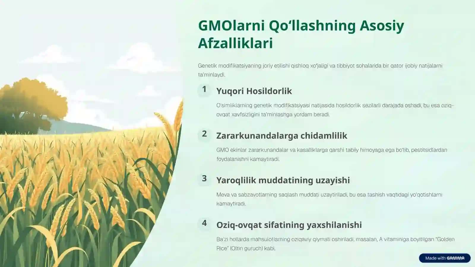 GMO Makkajo‘xori 3