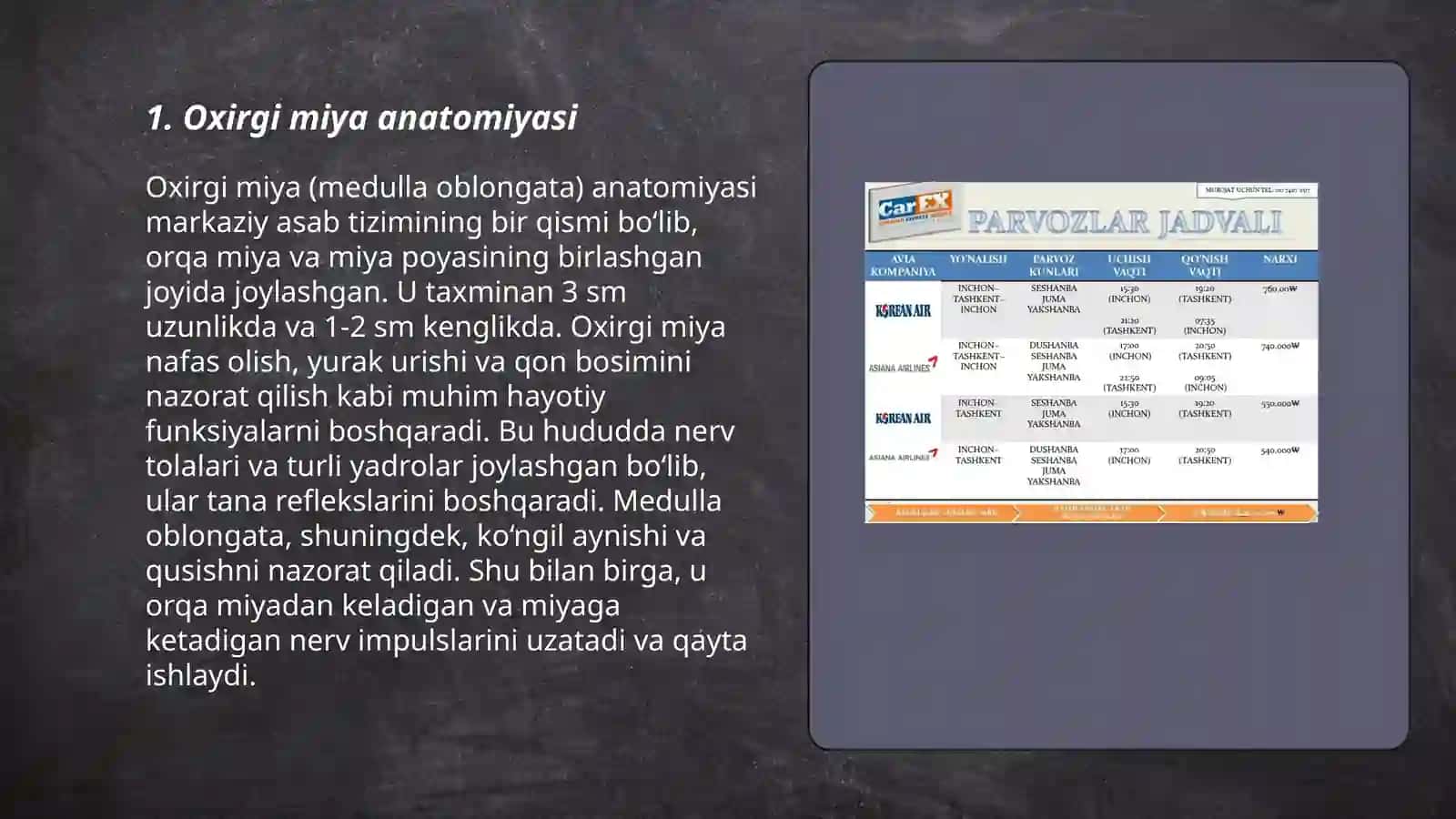 Oxirgi miya,asosiy egat va pushtalari 3