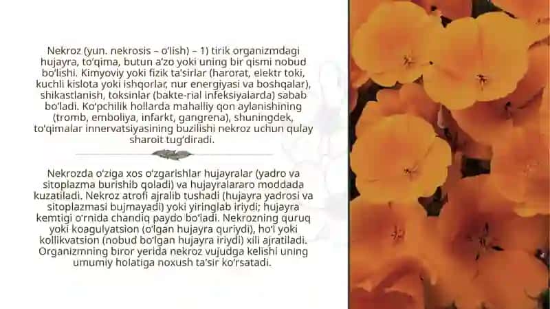 NEKROZ. NEKROZ VA APOPTOZNING FARQI 3
