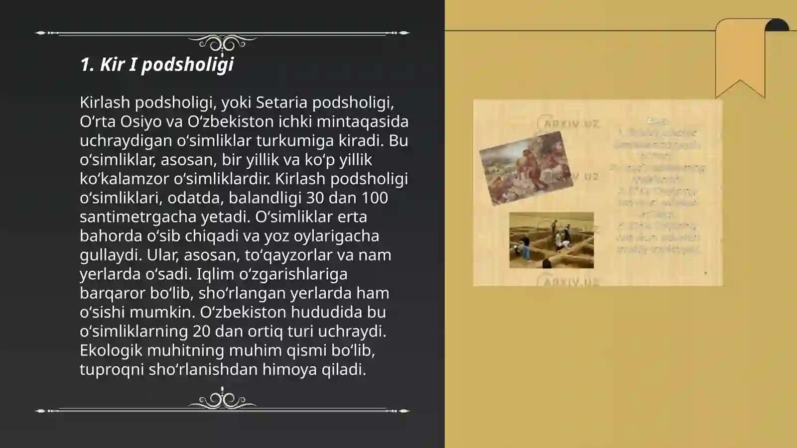 Kir I podsholigi 3