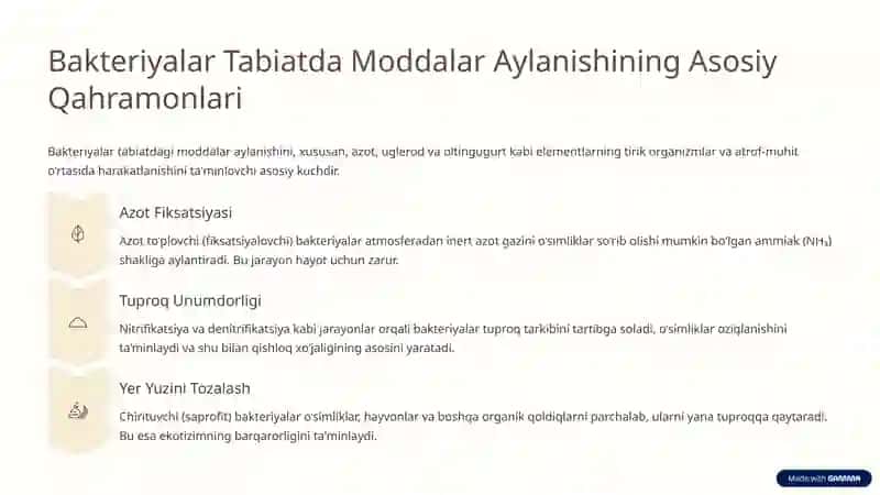 Mikrobiologiya Sohasida Bakteryalarning Roli 3