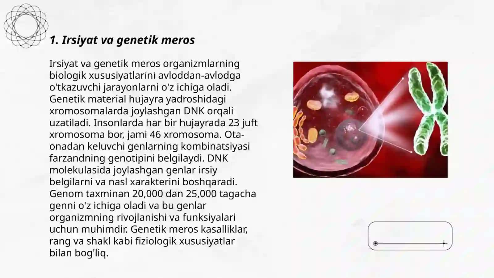 Irsiyat va irsiy kasalliklar 3