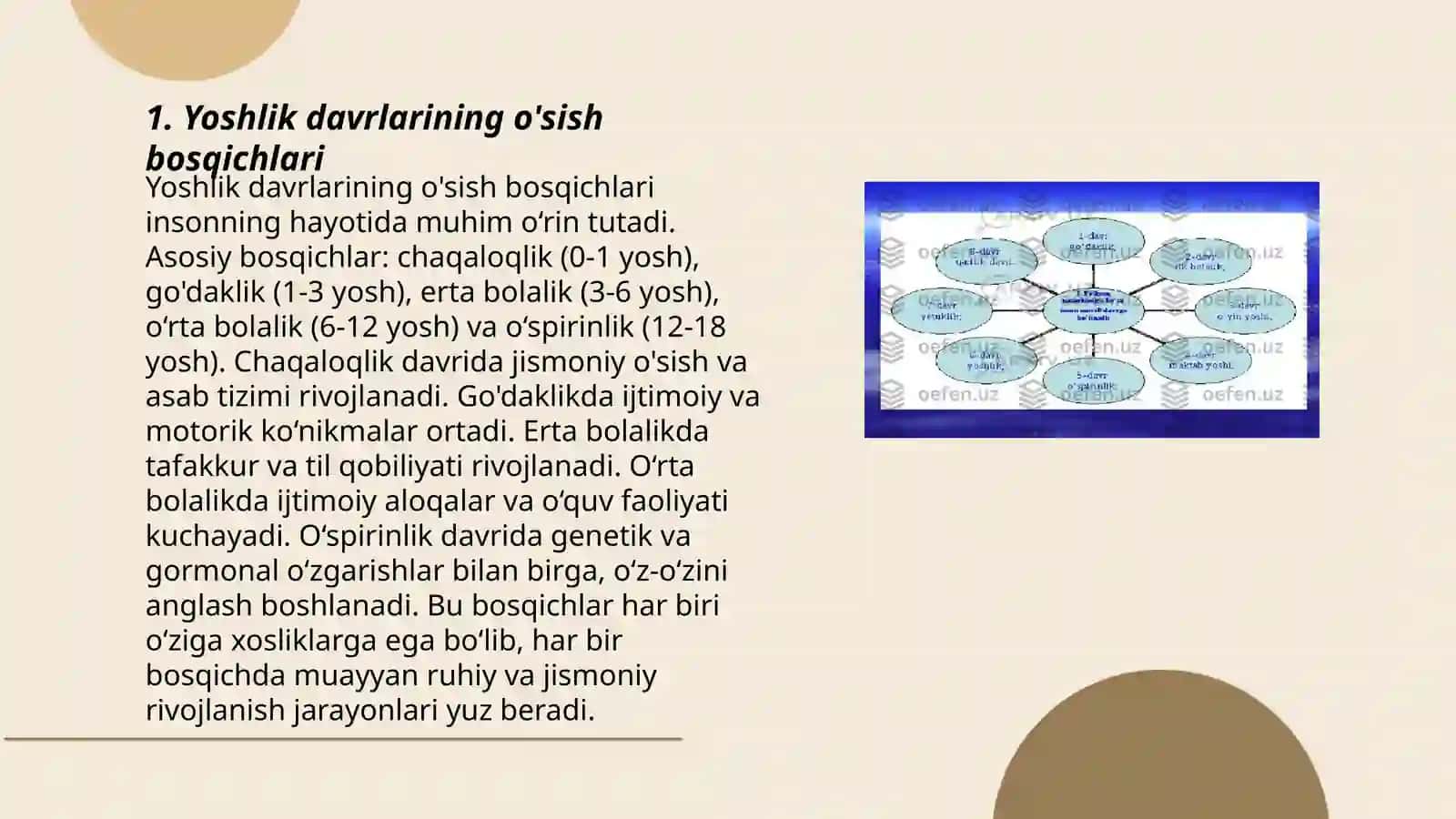 Yoshlik davrlarining morfologik va fiziologik xususiyatlari 3