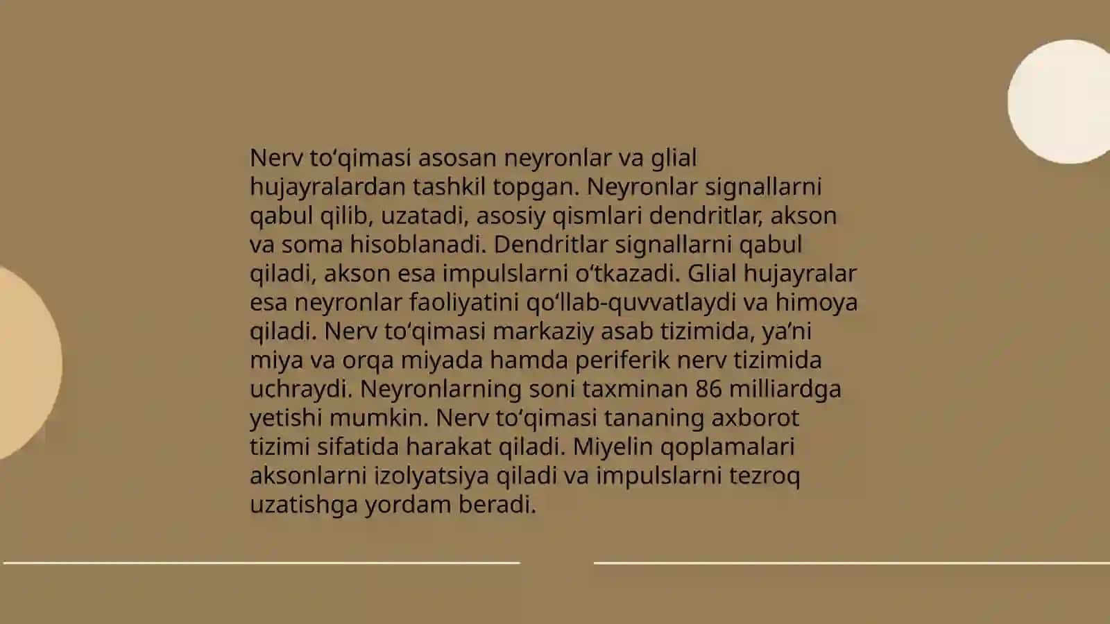 Nerv toʻqimasi 3