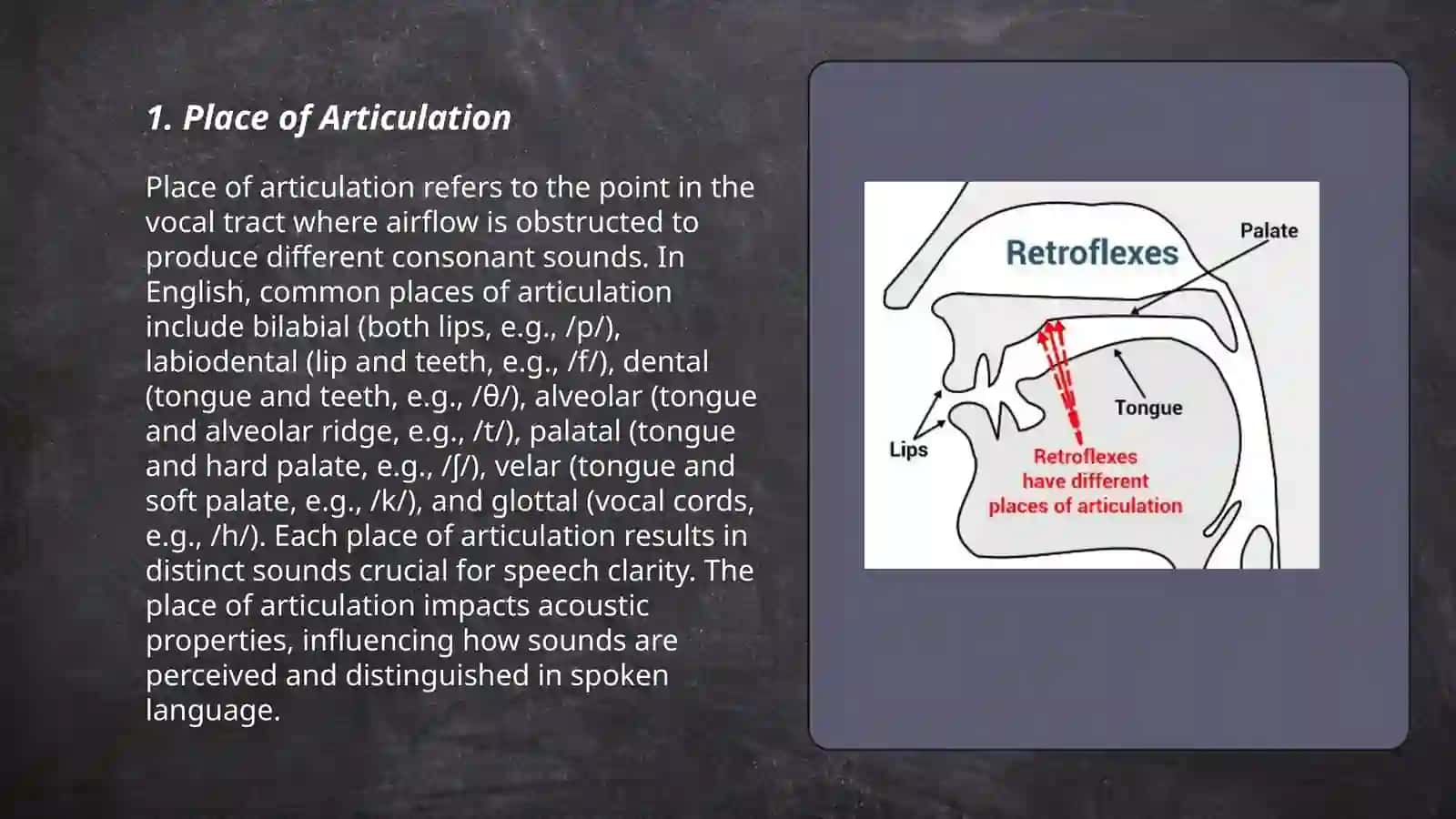 Articulatory Charosteristecs of Sounds 3