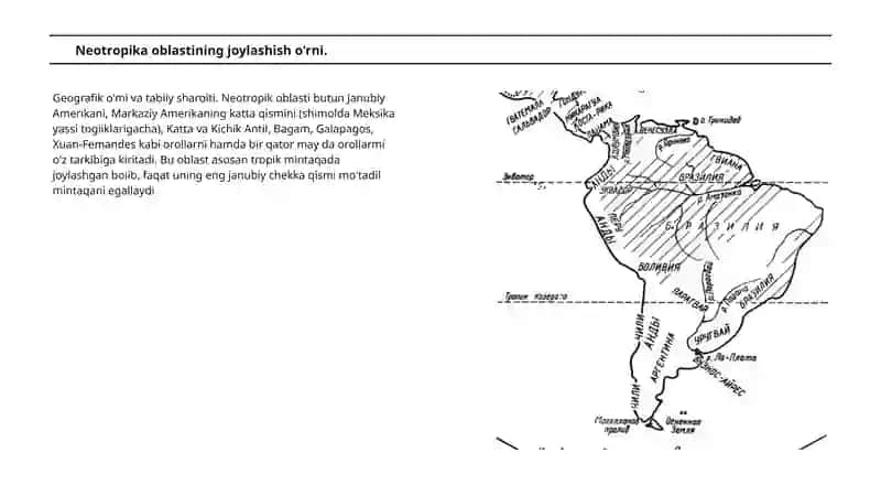 Neotropika oblasti faunasi. 3