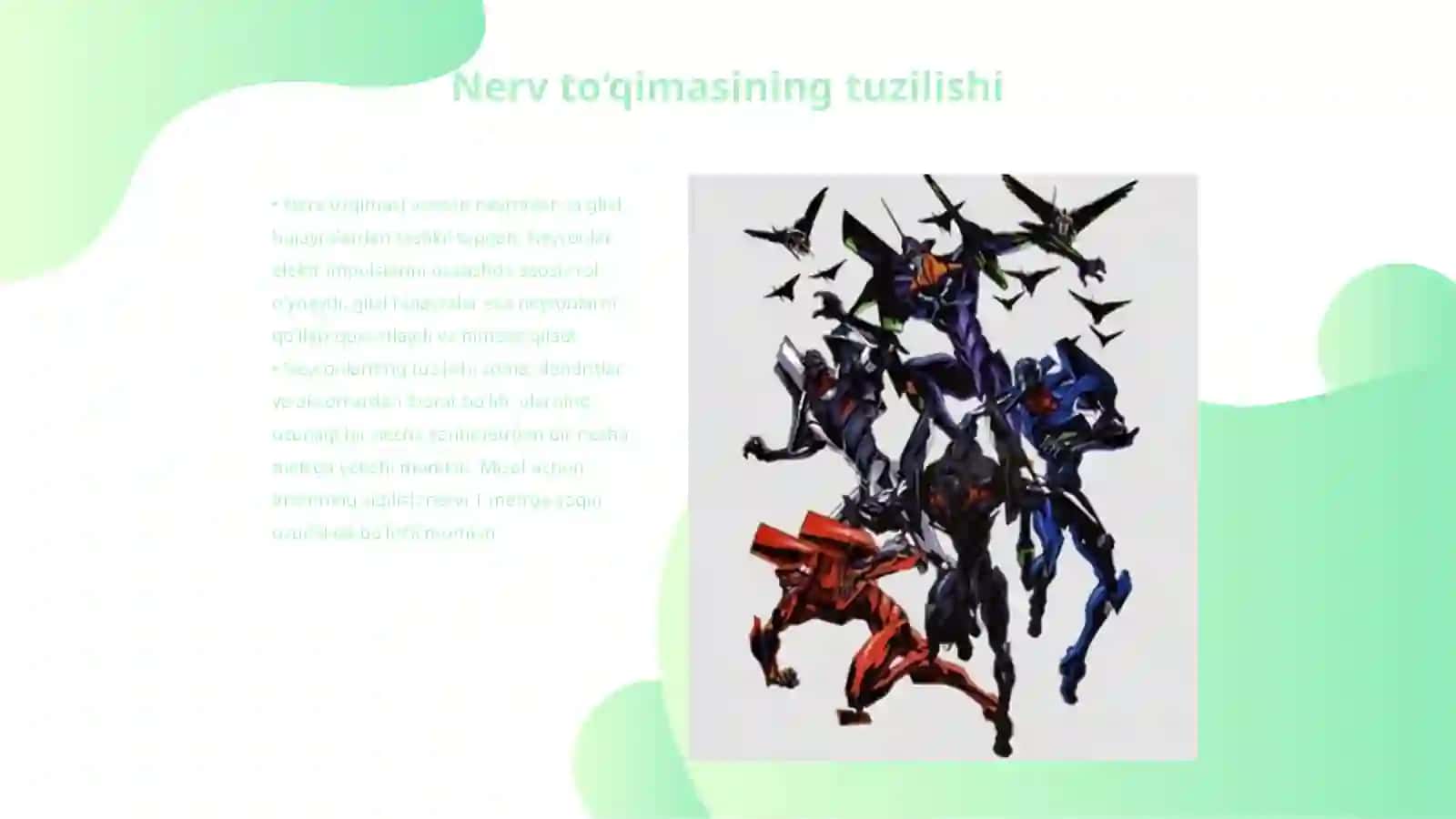 Nerv to‘qimasi 3