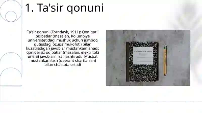 Ta'lim qonuniyatlari va tamoyillari 3