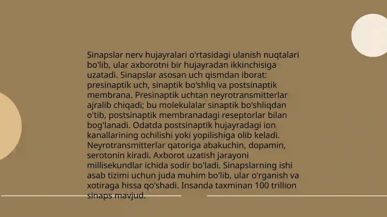 Sinapslar va sinaptik jarayonlari 3